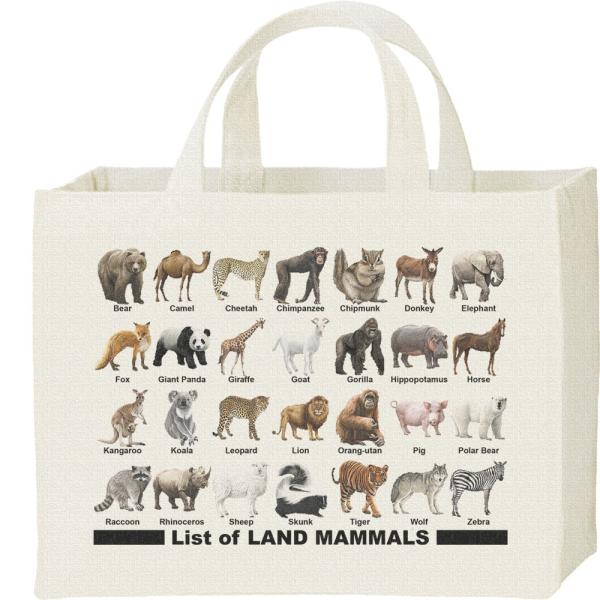 陸上 哺乳類のリスト/キャンバスバッグ・スクエア　カレッジバッグ