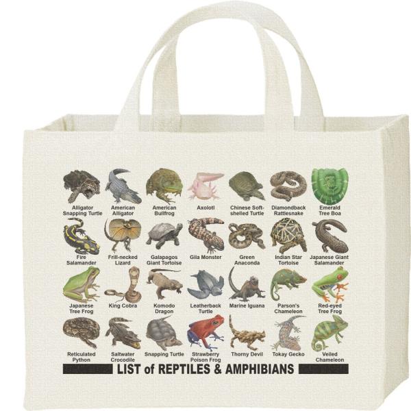 爬虫類＆両生類のリスト/キャンバスバッグ・スクエア　カレッジバッグ