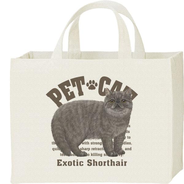エキゾチック ショートヘア（愛猫シリーズ）/キャンバスバッグ・スクエア　カレッジバッグ