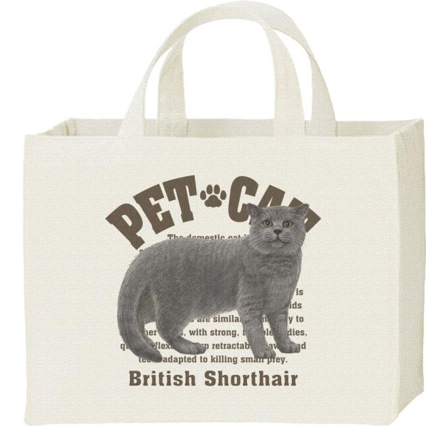 ブリティッシュ ショートヘア（愛猫シリーズ）/キャンバスバッグ・スクエア　カレッジバッグ