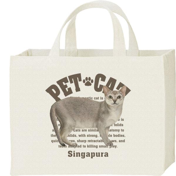 シンガプーラ（愛猫シリーズ）/キャンバスバッグ・スクエア　カレッジバッグ