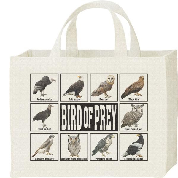 猛禽類/キャンバスバッグ・スクエア　カレッジバッグ