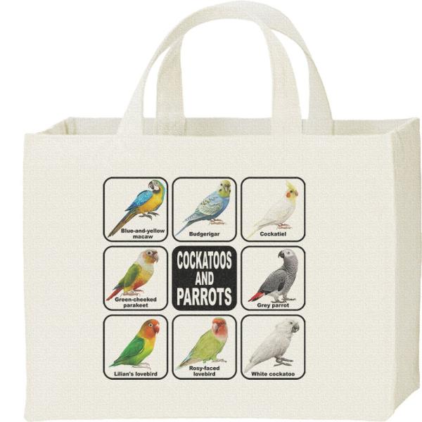 インコ＆オウム/キャンバスバッグ・スクエア　カレッジバッグ