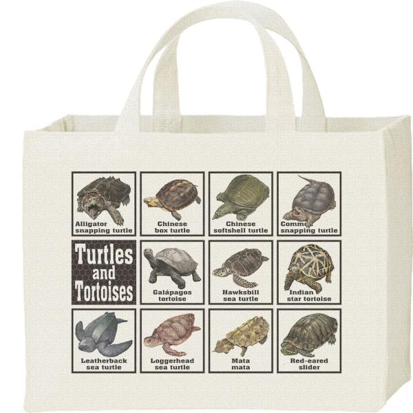 カメ大好き！/キャンバスバッグ・スクエア　カレッジバッグ