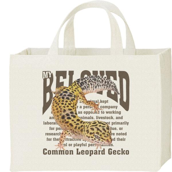 ヒョウモントカゲモドキ（ペット シリーズ）/キャンバスバッグ・スクエア　カレッジバッグ