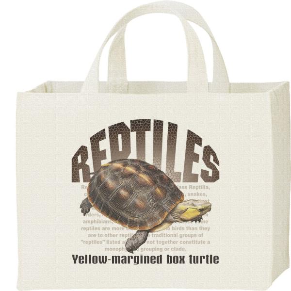 セマルハコガメ（亀）爬虫類シリーズ/キャンバスバッグ・スクエア　カレッジバッグ