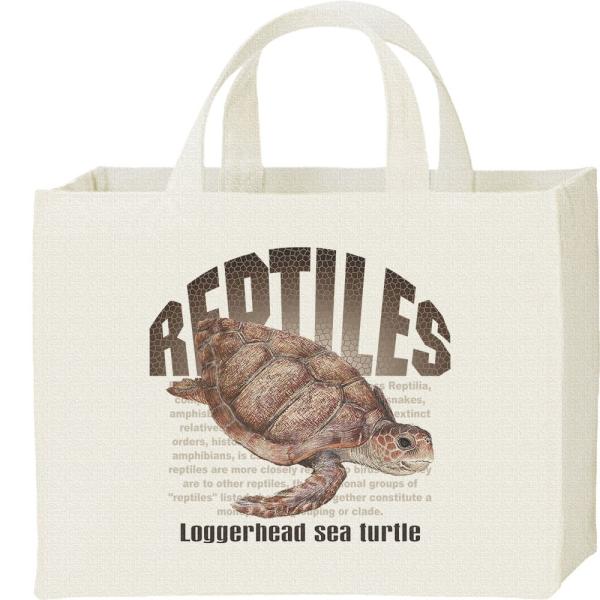 アカウミガメ（亀）爬虫類シリーズ/キャンバスバッグ・スクエア　カレッジバッグ