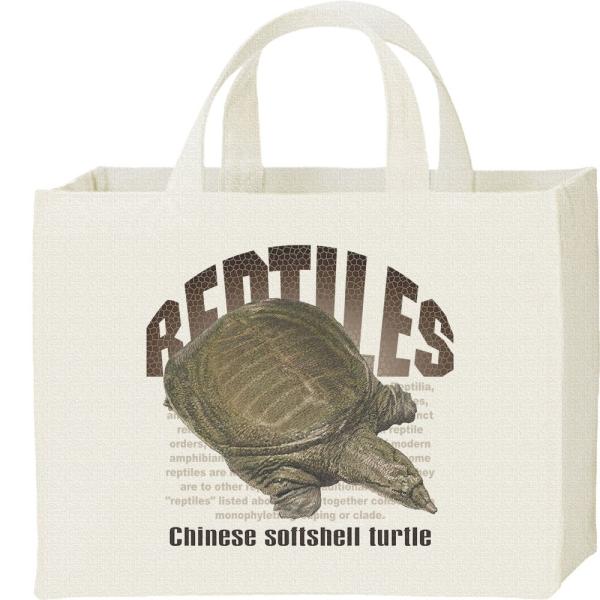 スッポン（亀）爬虫類シリーズ/キャンバスバッグ・スクエア　カレッジバッグ