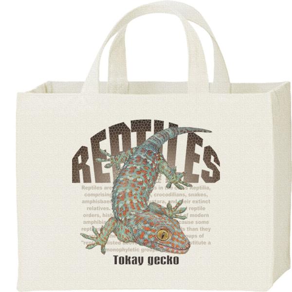トッケイヤモリ（爬虫類シリーズ）/キャンバスバッグ・スクエア　カレッジバッグ