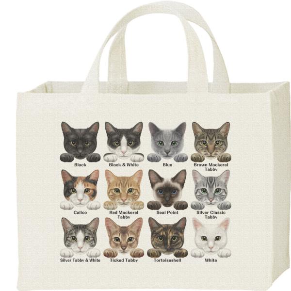 猫の毛色・模様12種/キャンバスバッグ・スクエア　カレッジバッグ
