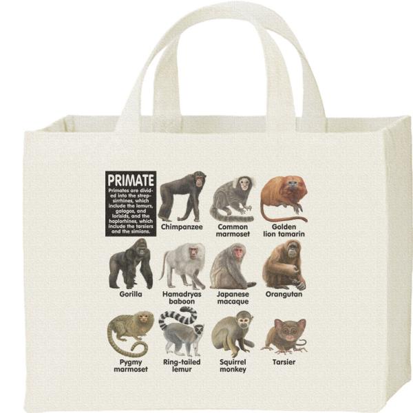 サルの仲間たち（霊長類）/キャンバスバッグ・スクエア　カレッジバッグ