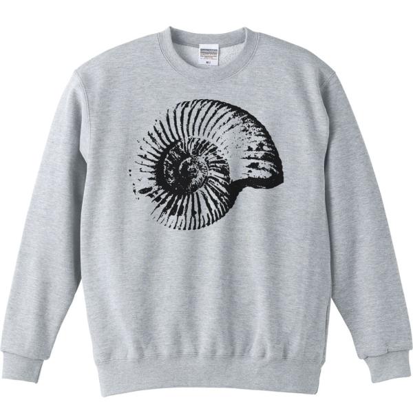 アンモナイトの化石（あんもないと）/トレーナー