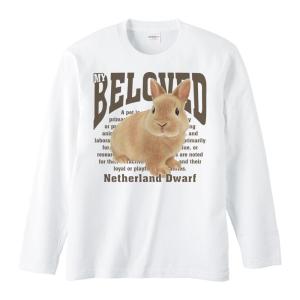 ⭐︎ジャンガリアンさん専用⭐︎ ジャンガリアンハムスター（ペット シリーズ）/トレーナー : MYDS