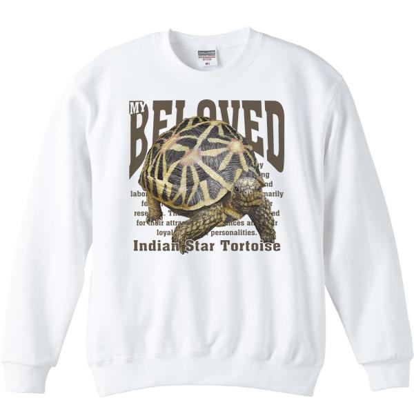 インド ホシガメ（亀）かめ/ペット シリーズ/トレーナー