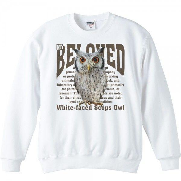 アフリカ オオコノハズク（梟）フクロウ/ペット シリーズ/トレーナー