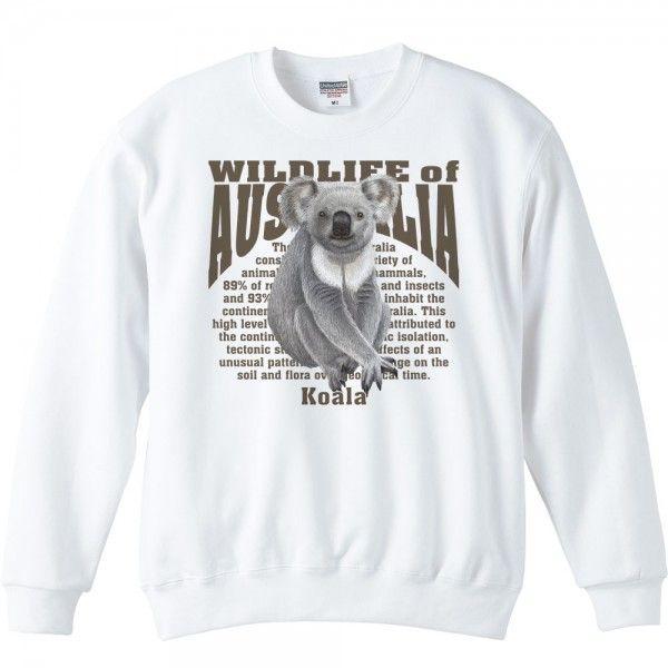 コアラ（オーストラリアの生物）/トレーナー