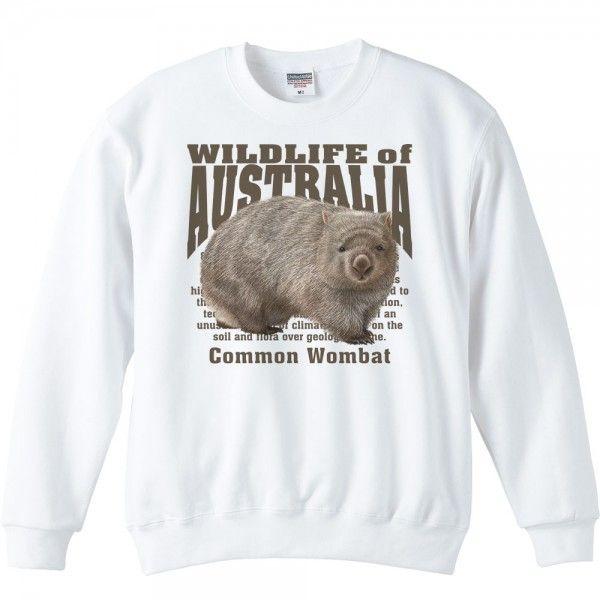 ヒメ ウォンバット（オーストラリアの生物）/トレーナー