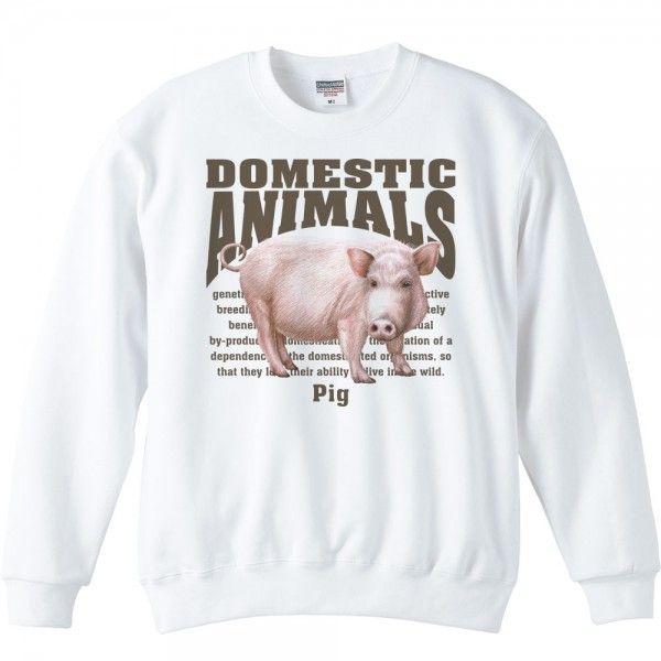 豚（ブタ）/飼育動物・家畜/トレーナー