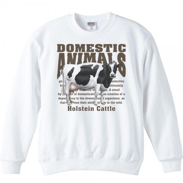 ホルスタイン牛（乳牛）/飼育動物・家畜/トレーナー