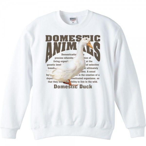 家鴨（アヒル）/飼育動物・家畜/トレーナー