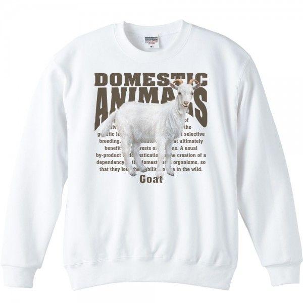 山羊（ヤギ）/飼育動物・家畜/トレーナー