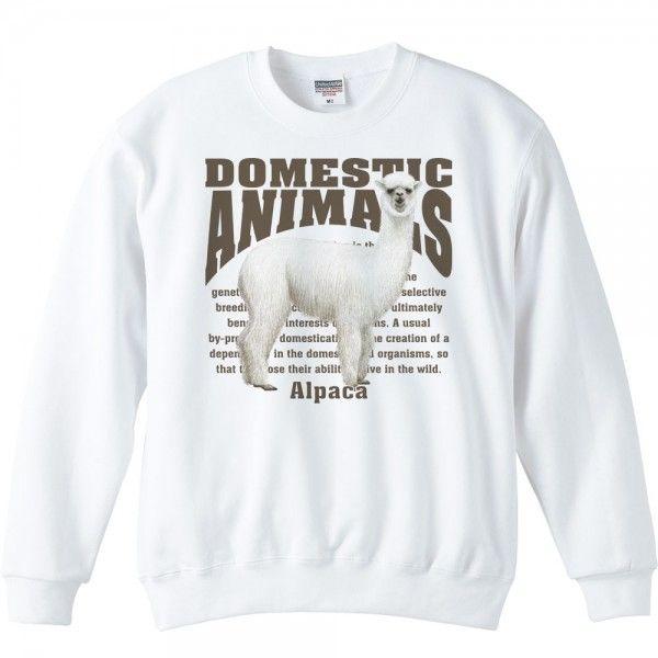 アルパカ/飼育動物・家畜/トレーナー