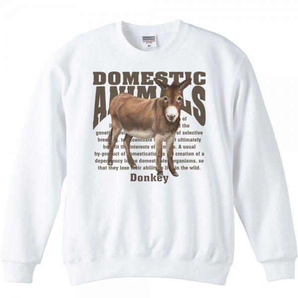 驢馬（ロバ）/飼育動物・家畜/トレーナー