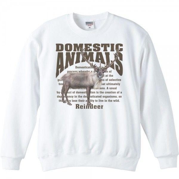 トナカイ/飼育動物・家畜/トレーナー