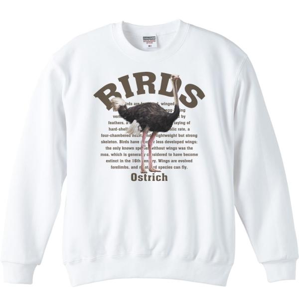 ダチョウ（鳥シリーズ）/トレーナー