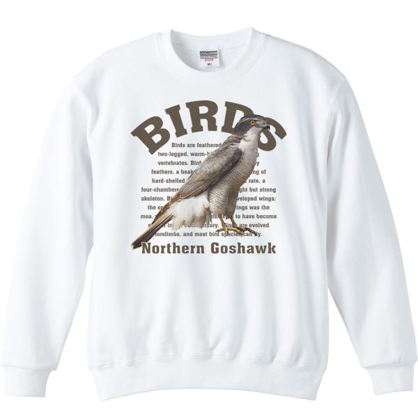 オオタカ（鳥シリーズ）/トレーナー