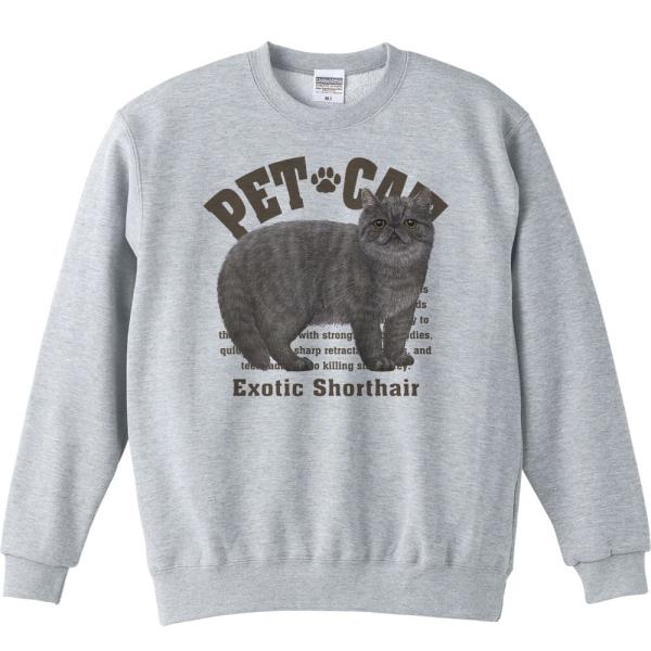 エキゾチック ショートヘア（愛猫シリーズ）/トレーナー