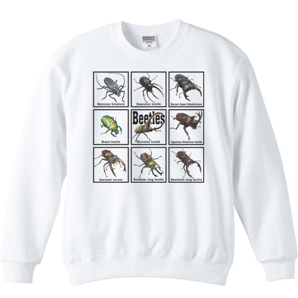 甲虫類（カブトムシの仲間たち）/トレーナー