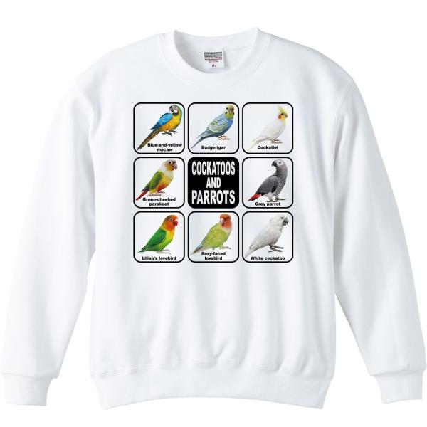 インコ＆オウム/トレーナー