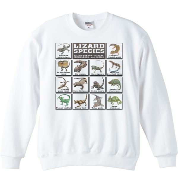 トカゲの仲間たち/トレーナー