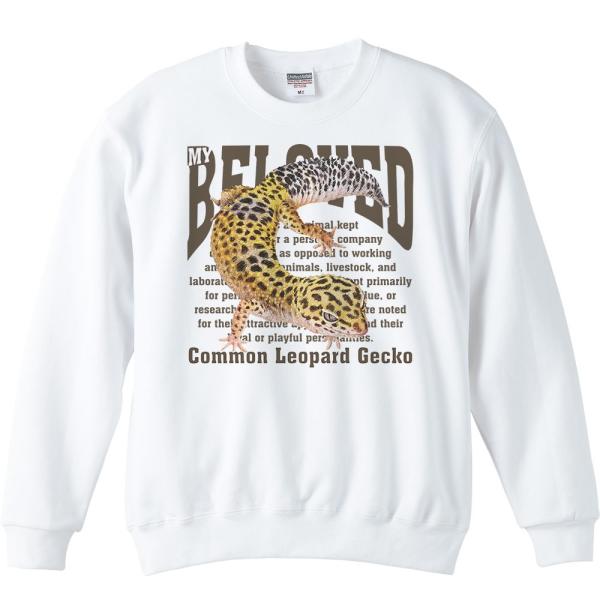 ヒョウモントカゲモドキ（ペット シリーズ）/トレーナー