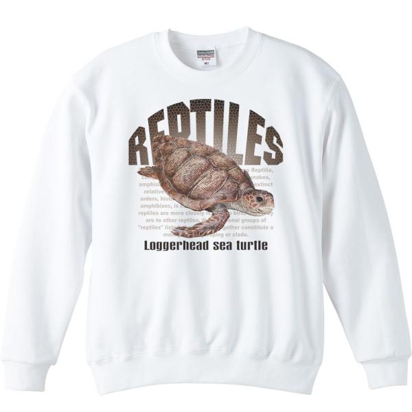 アカウミガメ（亀）爬虫類シリーズ/トレーナー