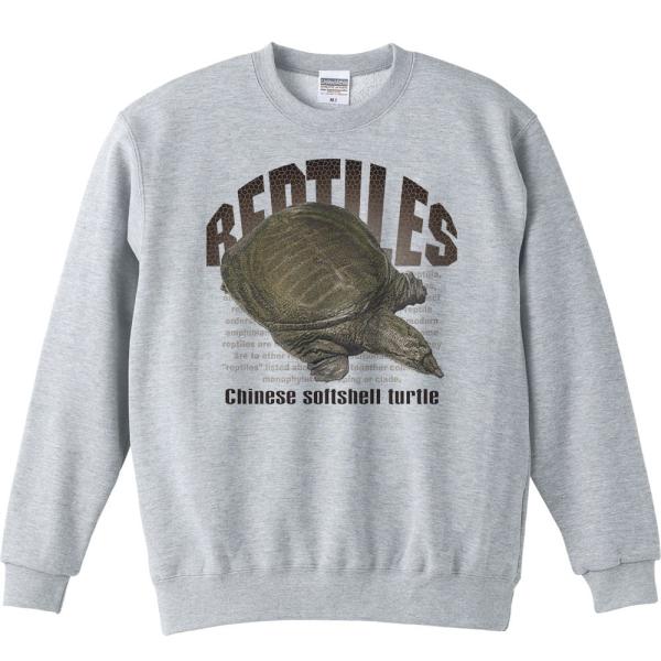 スッポン（亀）爬虫類シリーズ/トレーナー