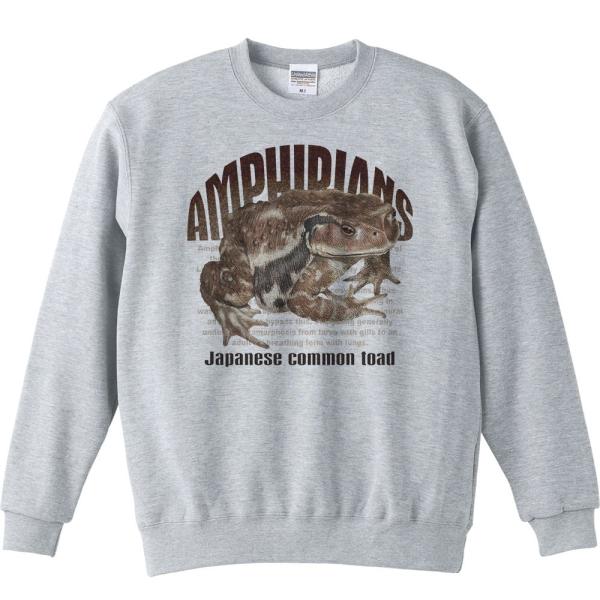 ヒキガエル（蛙）両生類シリーズ/トレーナー