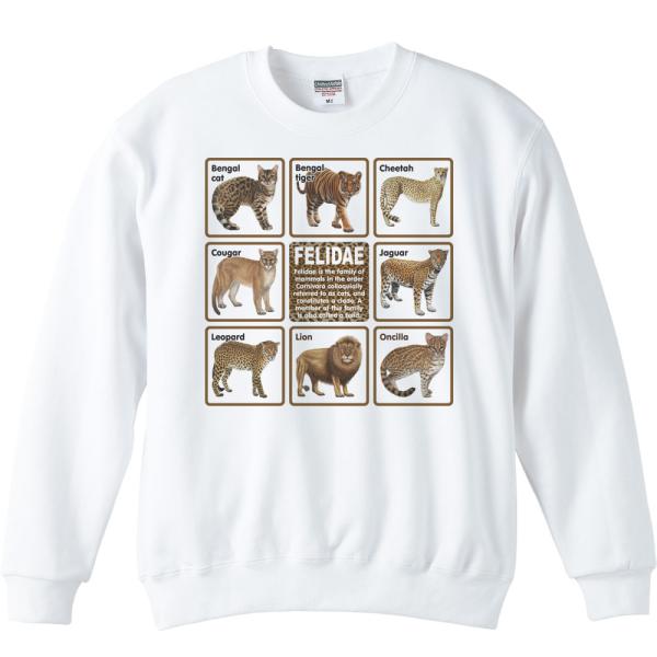 ネコ科の動物たち/トレーナー