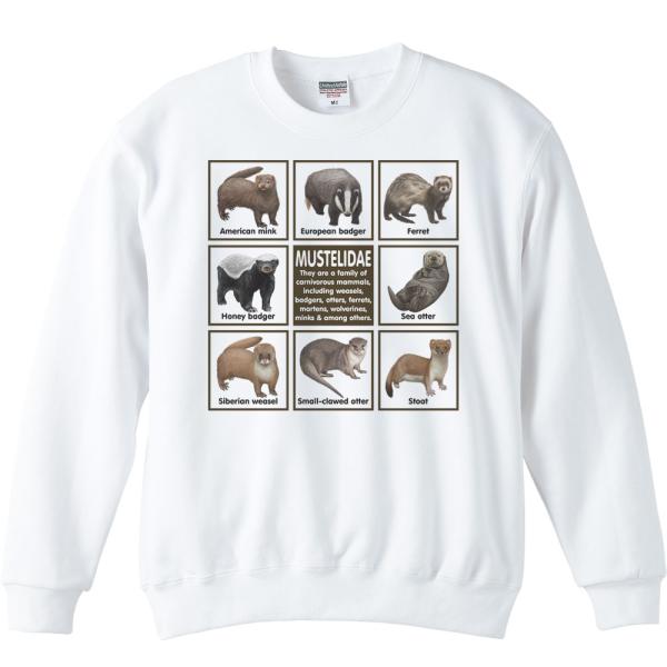 イタチの仲間たち/トレーナー