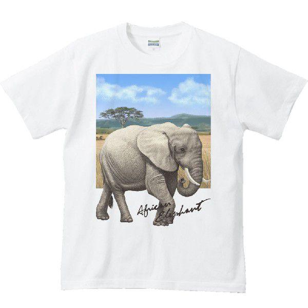 象 ＋背景（アフリカゾウ）/半袖Ｔシャツ　　
