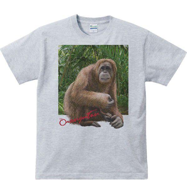 オランウータン ＋背景（おらんうーたん）/半袖Ｔシャツ　　
