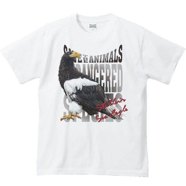 大鷲（おおわし）絶滅危惧動物（オオワシ）/半袖Ｔシャツ　　