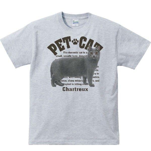 シャルトリュー（愛猫シリーズ）/半袖Ｔシャツ　　