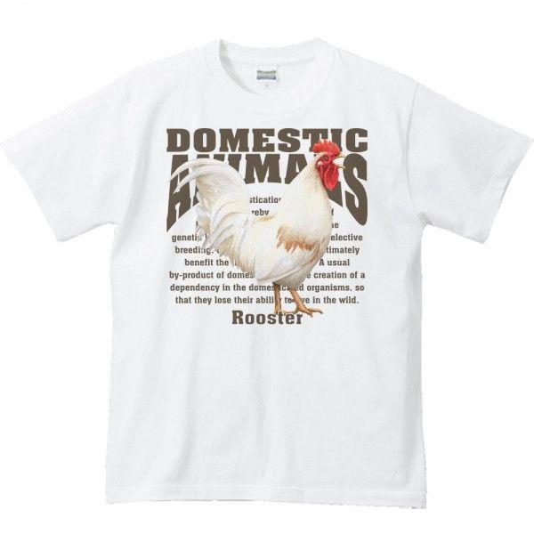 鶏（ニワトリ）/飼育動物・家畜/半袖Ｔシャツ　　