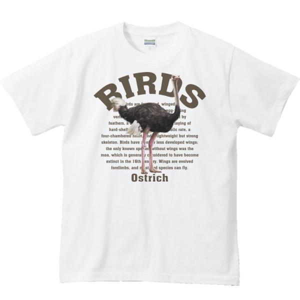 ダチョウ（鳥シリーズ）/半袖Ｔシャツ　　