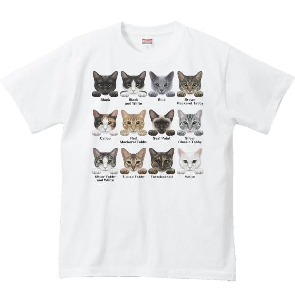 猫の毛色・模様12種/半袖Ｔシャツ