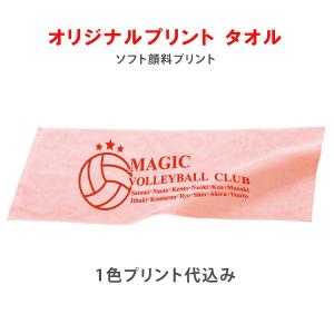 20〜29枚作成/オリジナルタオル/フェイスタオル/卒園・卒業・卒団記念品に！/プレゼントに/チームグッズに