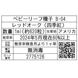 ベビーリーフ種子 B-04 レッドオーク(四季...の詳細画像1