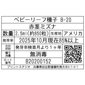 ベビーリーフ種子 B-20 赤茎ミズナ 2.5mlの詳細画像1